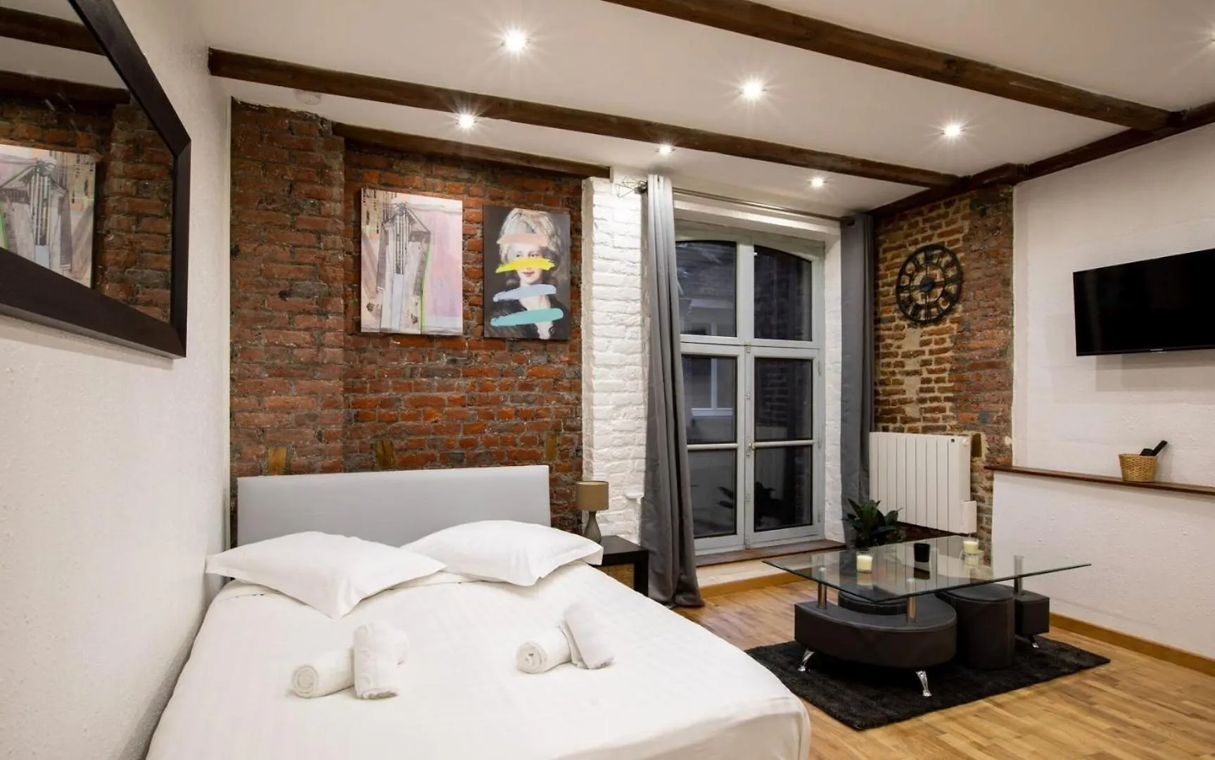 Modern And Functional Studio In Lille Old Town Apartment